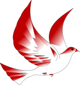 confirmation-dove-clipart-1